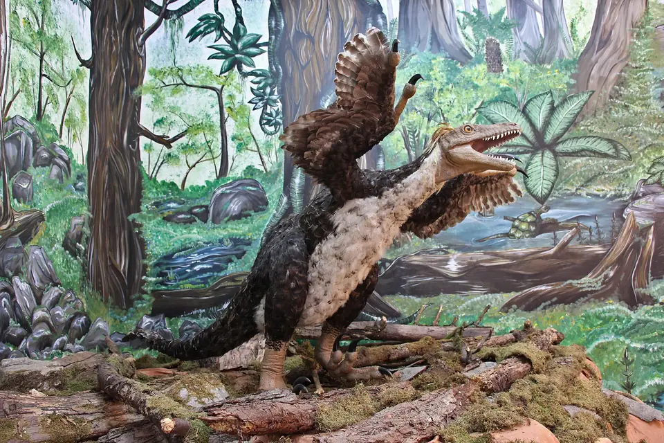Dinozaurii pitici din Geoparc