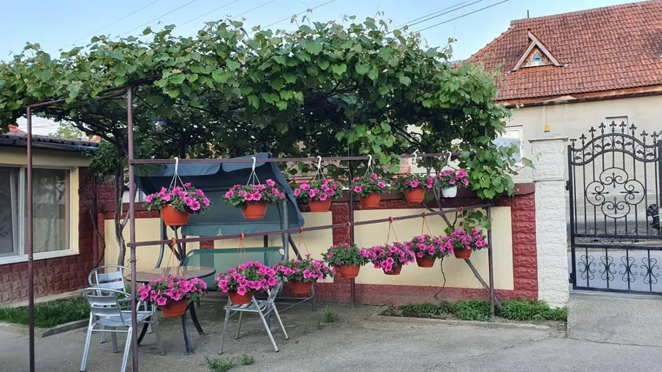 Curtea interioară, cu leagănul sub vița-de-vie