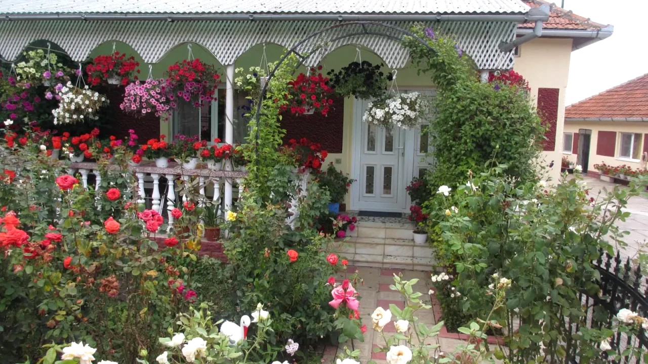 Curtea lui Moșu, cu fațada casei și florile de vară